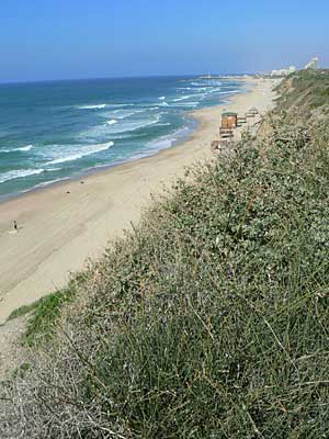 Ashkelon beachfront