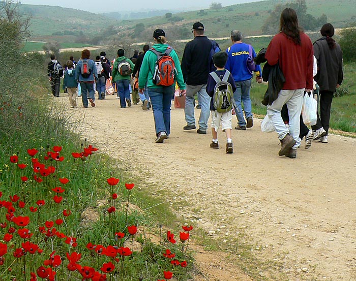 field trip